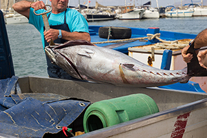 Men at seaport holding fisherman with Carpal Tunnel