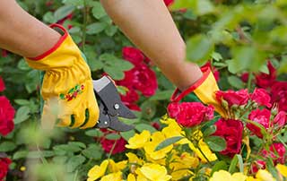 gardening and carpal tunnel