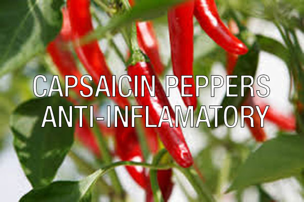 cayenne pepper pain reliever kit