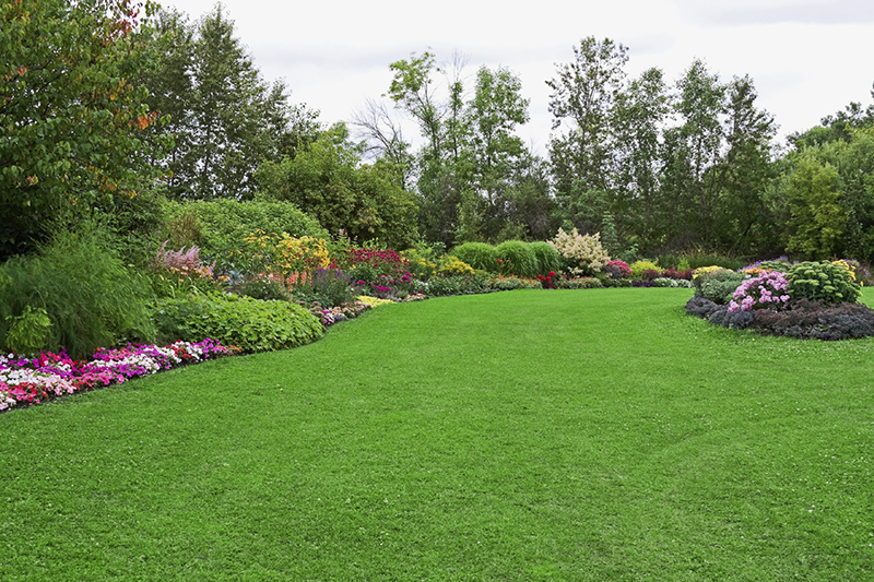 Gardener Tells Ordeal with Carpal Tunnel Syndrome and How to Get Relief