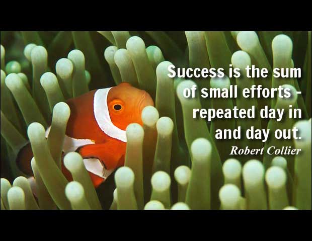 success is the sum of small efforts