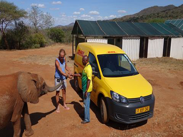 dhl-delivers-carpal-tunnel-treatment-door-to-door-elephant-south-africa dhl delivers carpal tunnel treatment to-south africa