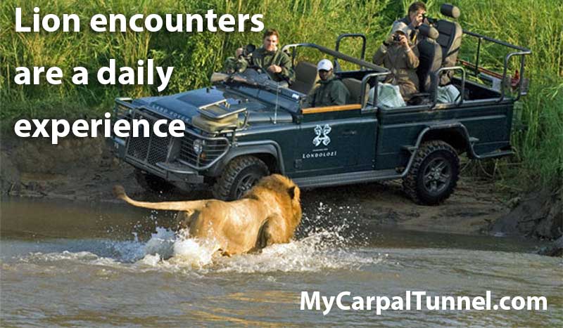 game-reserve-guide-cures-carpal-tunnel-south-africa As a guide being alert and having responsive hands is key to the job