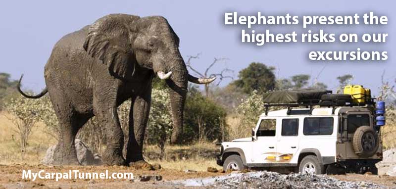elephants-in-south-aftrica encountering elephants in south aftrica