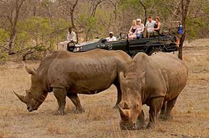 game reserve guide in africa cures carpal tunnel