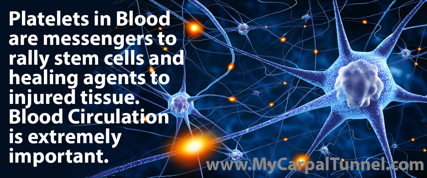 platelets in blood for carpal tunnel healing
