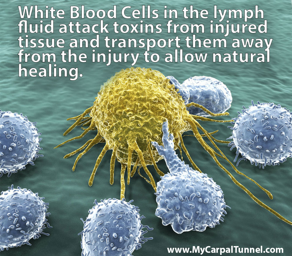 white blood cells and carpal tunnel
