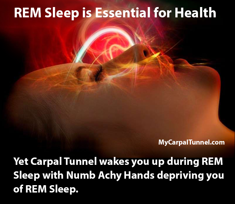 rem sleep is essential for health