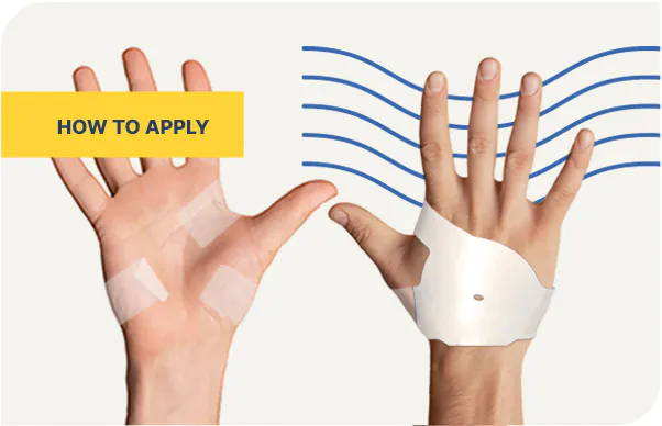 blog how to apply
