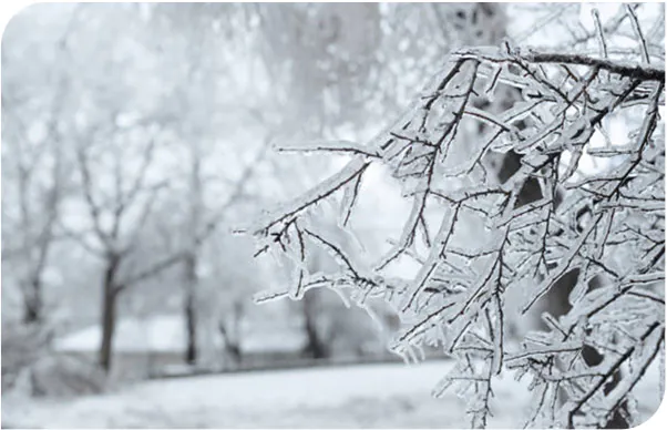 featured image winter