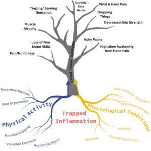 Illustration of the root causes of carpal tunnel syndrome which is trapped inflammation from physical activity and/or pysiological conditions. 