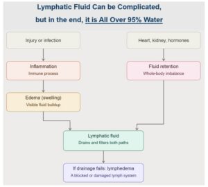 Decoding Inflammation, Swelling & Lymph Fluid 3 Chart showing the processes and cause and effects as they relate to inflammation, swelling, lymph fluid.